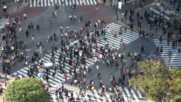 As pessoas atravessam a estrada — Vídeo de Stock