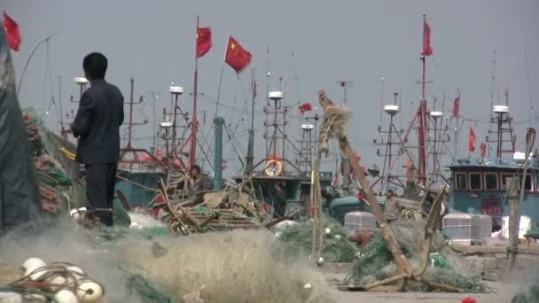 En fiskeflotta i Kina. — Stockvideo