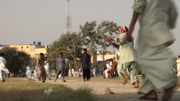 Unga män spela kricket i Karachi. — Stockvideo