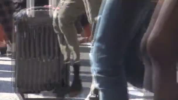 Legs of people crossing zebra — Stock Video