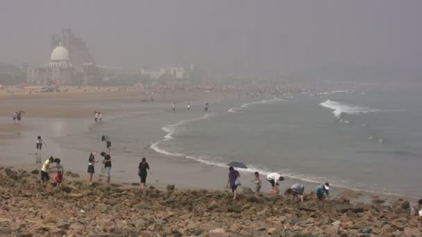 Люди посещают пляж в день — стоковое видео