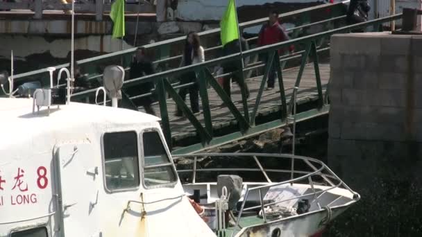 Passagiers arriveren bij de Ferry Terminal — Stockvideo