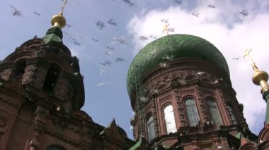 Katedral önünde güvercinler sinek