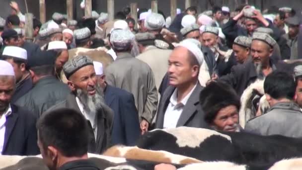 Pasar hewan Kashgar. . — Stok Video