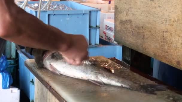 Un travailleur nettoie un poisson — Video