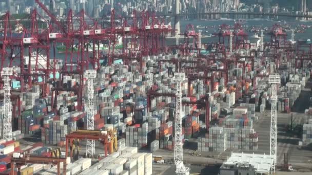 Containerterminal in Hongkong — Stockvideo