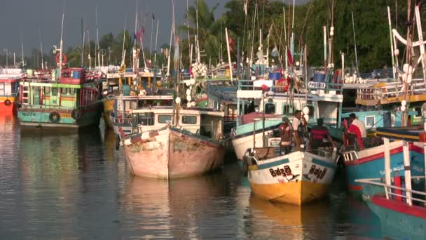 Barcos de pesca coloridos — Vídeo de Stock