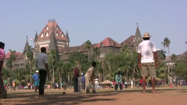 Young men play cricket — Stock Video