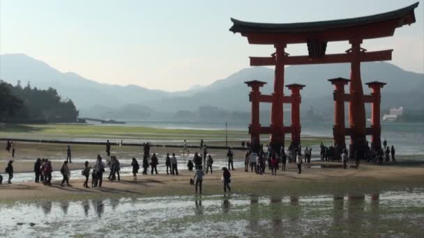 Люди відвідують плаваючою torii ворота — стокове відео