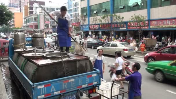 Εργαζόμενοι που μαζεύουν ψάρια από ένα ενυδρείο — Αρχείο Βίντεο