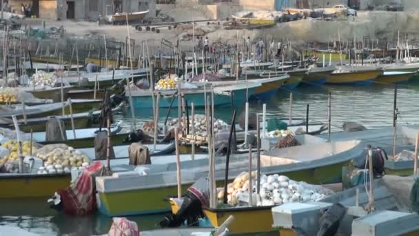 Vue d'ensemble d'une flotte de pêche iranienne — Video
