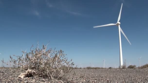 Moulin à vent dans un désert sec — Video