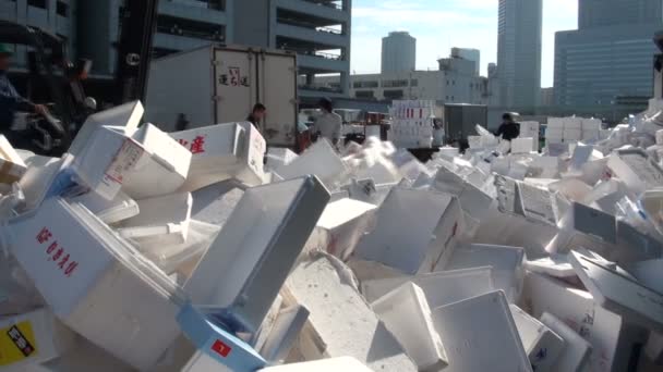 Reciclaje de cajas de espuma — Vídeos de Stock