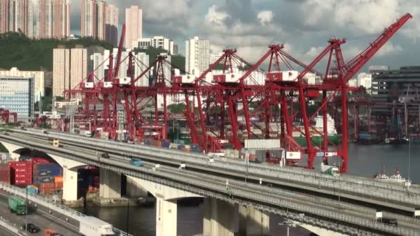 Container terminal in Hong Kong. — Stockvideo