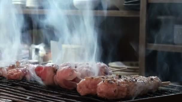 Frische Hähnchenspieße grillen — Stockvideo