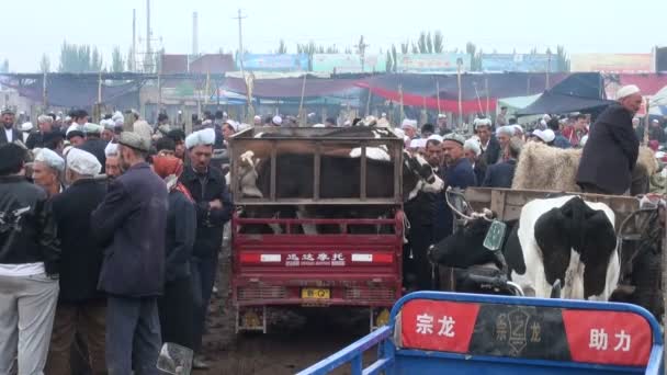 Животный базар Кашгара — стоковое видео