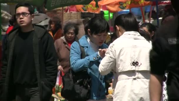 Giovani donne stanno godendo di uno spuntino — Video Stock