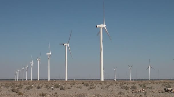 Egy kínai windfarm áttekintése. — Stock videók