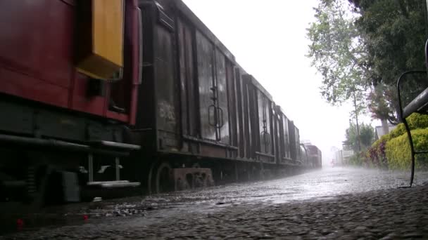 Un tren sale de la estación Haputale — Vídeos de Stock