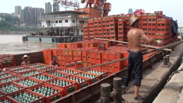 Kínai munkavállaló betölti a sör — Stock videók