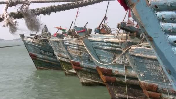 A fishing fleet in China. — Stock Video