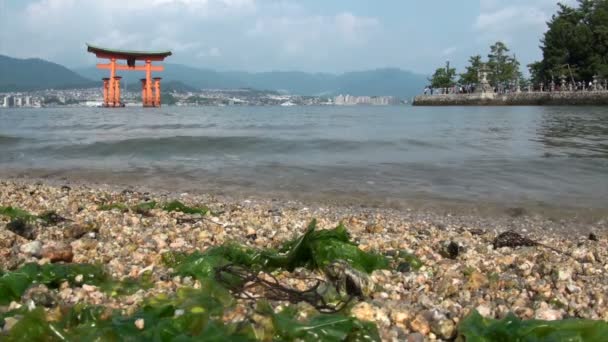 Schwimmendes Torii-Tor und kleine krachende Wellen — Stockvideo