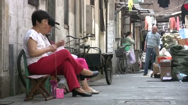 Zwei Frauen stricken Stockvideo