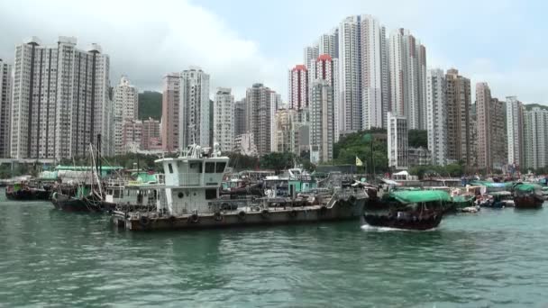 Aberdeen harbor in Hong Kong. — Stock Video