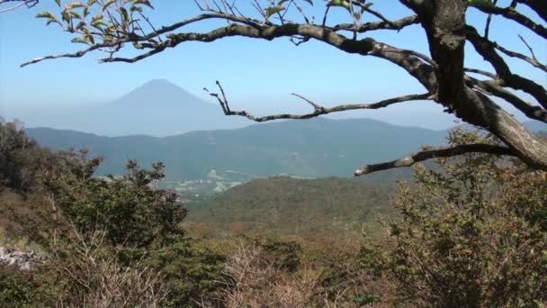 Güzel Fuji Dağı — Stok video