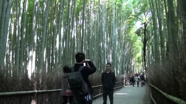 Japanska turister ta en bilder — Stockvideo