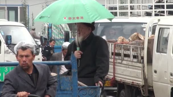 La gente entra en el bazar animal — Vídeo de stock