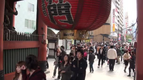 人々は千草寺を訪れる — ストック動画