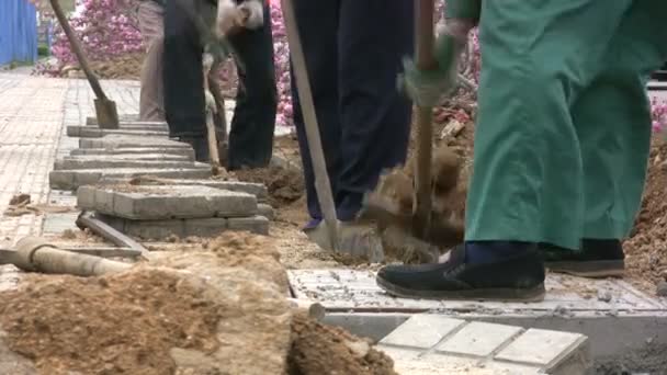 Men are digging a ditch — Stock Video