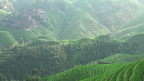 Rice terraces in China — Stock Video