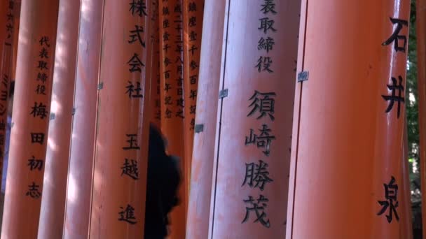 Turistas visitam o templo Fushimi Inari — Vídeo de Stock