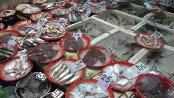 Pesca para la venta en el mercado . — Vídeos de Stock