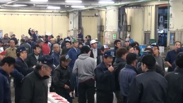 Tuna auction at the Tsukiji fish market — Stock Video