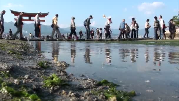 Een tour groep cross een stream aanloop — Stockvideo