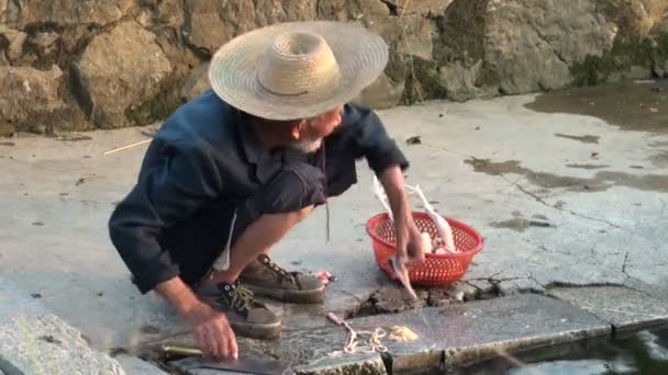 Homem chinês está limpando e cortando, preparando um frango — Vídeo de Stock