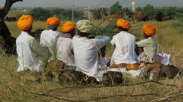 Kamelen handelaren verzamelen in Pushkar — Stockvideo