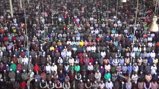 Men attend Friday prayer — Stock Video