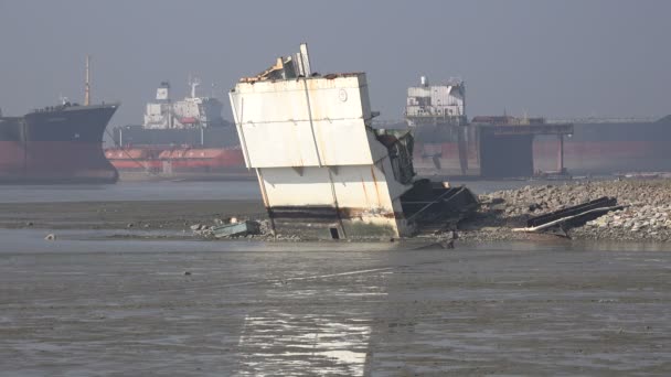 Pescador busca pescado al lado del barco — Vídeos de Stock