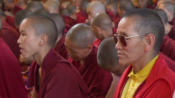 Mönche nehmen an den Unterweisungen des Dalai Lama teil — Stockvideo