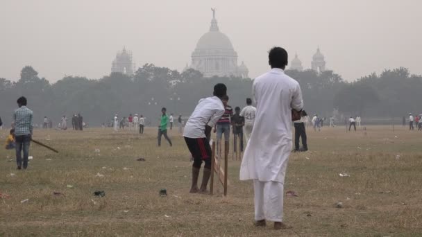 Mannen spelen cricket — Stockvideo