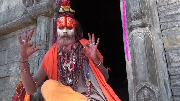 Colorfully painted sadhu — Stock Video