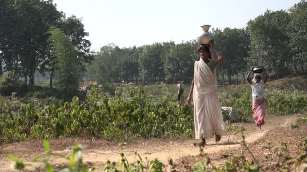 Vrouwen dragen emmers water op een thee plantage in bangladesh — Stockvideo