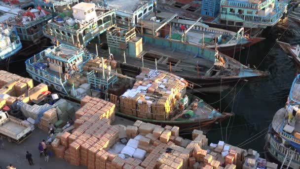 Buques dhow clásicos en el puerto de Deira — Vídeos de Stock