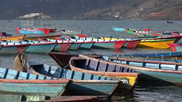 Pokhara Phewa gölünde sallanan tekneler — Stok video