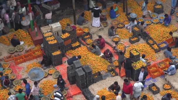 Frutas e legumes no mercado em Kolkata — Vídeo de Stock