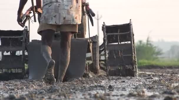 Indický farmář, který svou půdu Orne, se strojem — Stock video